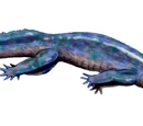 Diplovertebron