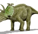 2007 in paleontology