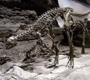 1977 in paleontology