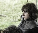 Bran Stark