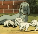 Cross' pups