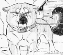 Chiko