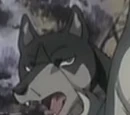 Heita