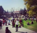 University of Lima