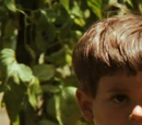 Anthony Gounaris