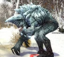 Brute de glace