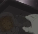 Laplace's Box