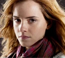 Hermione Granger's scarf