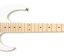 PGM301