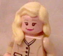 Custom:Cassandra