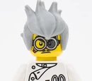 The Crazy Scientist
