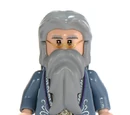 Professor Dumbledore