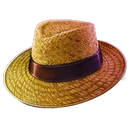 Plantation Hat