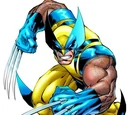 Wolverine