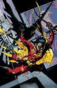 Robin Tim Drake 0030.jpg