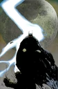 Batman 0533.jpg