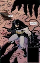Batman 0492.jpg