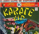 Karate Kid Vol 1 3