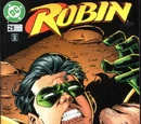 Robin Vol 4 29