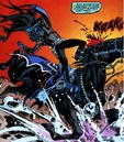 Batman Blue Grey Bat 009.jpg