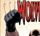 Wolverine Vol 3 29