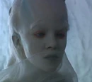 Andoria