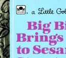 Big Bird Brings Spring to Sesame Street
