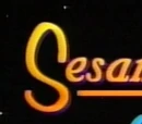 Sesame Street Stays Up Late!