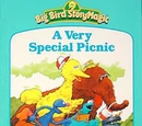 A Very Special Picnic