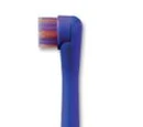 Sesame Street toothbrushes (Sunstar)