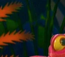 Ruth (Song of the Cloud Forest)