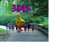 Episode 3845