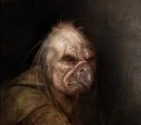 Hag