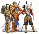 Half-Elf
