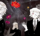 Pandora Hearts Wiki