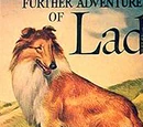 Lad the Dog