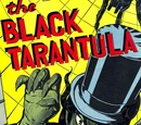 Black Tarantula