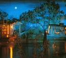 Blue Bayou