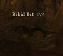 Rabid Bat