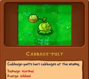 Cabbage-pult