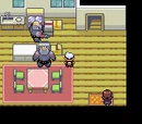 Pokémon Ruby/Sapphire Walkthrough
