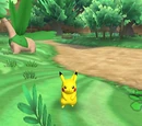 Meadow Zone