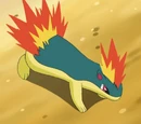 Dawn's Quilava