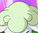 Antonio's Cottonee