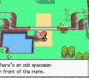 Pokémon Diamond/Pearl Walkthrough (Part 7)