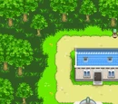 Ringtown