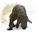 Lycaenops