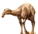 Eopie