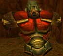 Body Armor