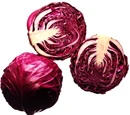 Blaukraut